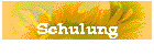 Schulung